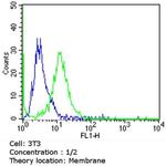 CD38 Antibody in Flow Cytometry (Flow)