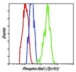 Phospho-STAT1 (Tyr701) Antibody in Flow Cytometry (Flow)