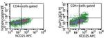 FOXP3 Antibody in Flow Cytometry (Flow)