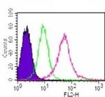 MyD88 Antibody in Flow Cytometry (Flow)