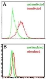 EBI3 Antibody in Flow Cytometry (Flow)