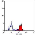 Dectin 1 (soluble) Antibody in Flow Cytometry (Flow)