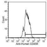 CD45R Antibody in Flow Cytometry (Flow)