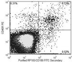 CD180 Antibody in Flow Cytometry (Flow)