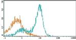 CD40 Antibody in Flow Cytometry (Flow)