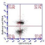 Transferrin Receptor Antibody in Flow Cytometry (Flow)