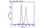 ARID5A Antibody in Flow Cytometry (Flow)