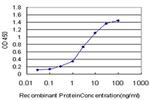 ATOX1 Antibody in ELISA (ELISA)