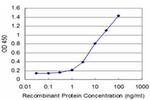 HOXA5 Antibody in ELISA (ELISA)