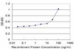 HOXA6 Antibody in ELISA (ELISA)