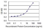 HSPA2 Antibody in ELISA (ELISA)