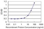 HSPA4 Antibody in ELISA (ELISA)