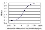 NFIC Antibody in ELISA (ELISA)