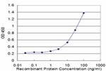 SH2D3A Antibody in ELISA (ELISA)