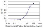 TSHZ1 Antibody in ELISA (ELISA)