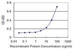 ADAM30 Antibody in ELISA (ELISA)