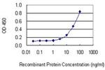 LPIN1 Antibody in ELISA (ELISA)