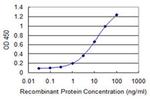 MSL2 Antibody in ELISA (ELISA)