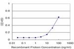 PCDHA12 Antibody in ELISA (ELISA)