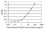 CABP4 Antibody in ELISA (ELISA)