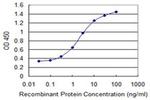 LRRC4C Antibody in ELISA (ELISA)