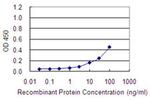 COA7 Antibody in ELISA (ELISA)