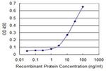 ZFYVE19 Antibody in ELISA (ELISA)