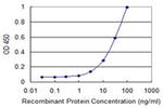 ZNF396 Antibody in ELISA (ELISA)