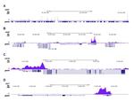 Phospho-RNA pol II CTD (Ser2) Antibody in ChIP-Sequencing (ChIP-seq)