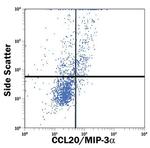 MIP-3 alpha Antibody in Flow Cytometry (Flow)