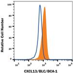 CXCL13 Antibody in Flow Cytometry (Flow)