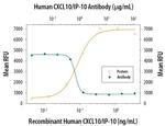 CXCL10 Antibody