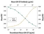 GM-CSF Antibody