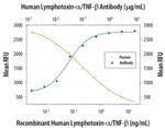 TNF beta Antibody in Neutralization (Neu)