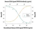 CD153 Antibody in Neutralization (Neu)