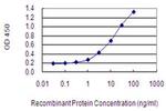 NRAP Antibody in ELISA (ELISA)