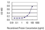 THG1L Antibody in ELISA (ELISA)