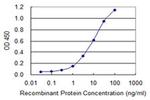 IRX6 Antibody in ELISA (ELISA)