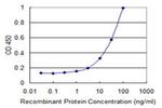 TRIB2 Antibody in ELISA (ELISA)