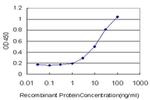 MYO3A Antibody in ELISA (ELISA)