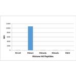 H4R3me1 Antibody in Luminex (LUM)