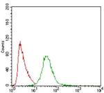 PON1 Antibody in Flow Cytometry (Flow)