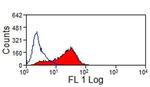 CD323 (JAM3) Antibody in Flow Cytometry (Flow)