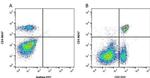 CD2 Antibody in Flow Cytometry (Flow)