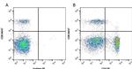 CD4 Antibody in Flow Cytometry (Flow)