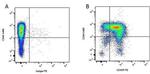 CD45R (B220) Antibody in Flow Cytometry (Flow)