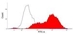 CD52 Antibody in Flow Cytometry (Flow)