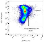 STRO-1 Antibody in Flow Cytometry (Flow)