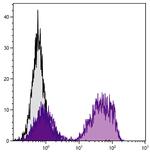 CD5 Antibody in Flow Cytometry (Flow)