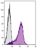 CD146 Antibody in Flow Cytometry (Flow)